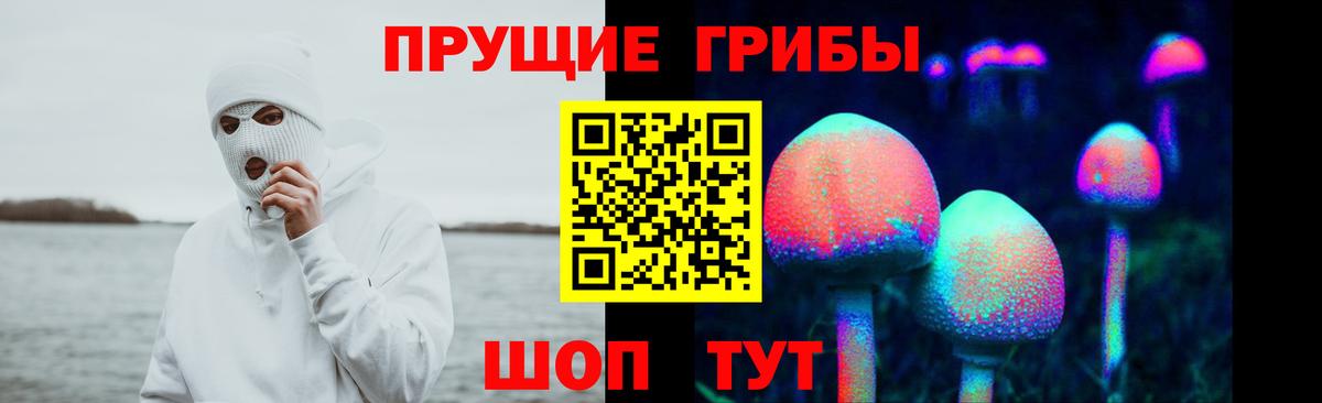 Псилоцибиновые грибы Psilocybe  Вход с VPN  Псилоцибиновые грибы ЛСД  Воркута 